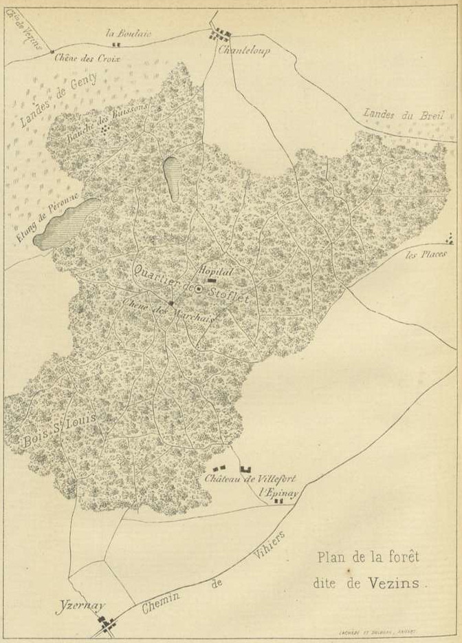 Plan de la forêt de Vezins.