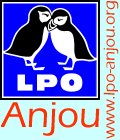 Logo.