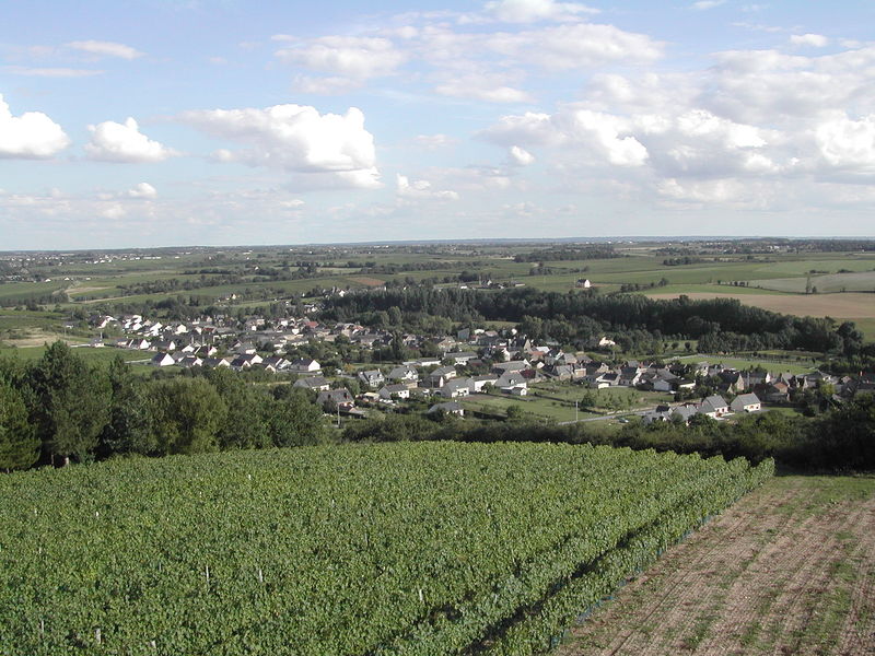 Fichier:Saintaubindeluigne vue du moulin guerin-2003a.jpg