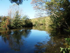 Layon saintaubindeluigne 2013-3.jpg