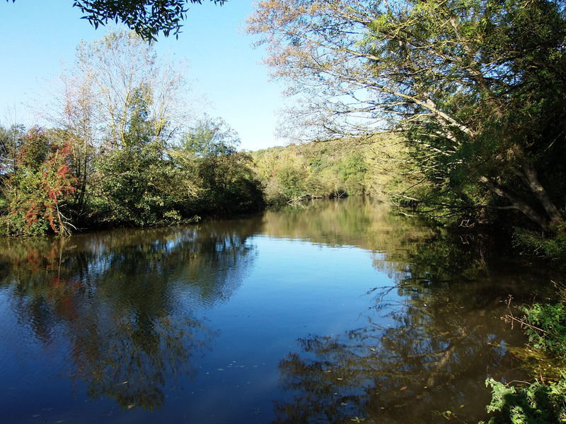 Fichier:Layon saintaubindeluigne 2013-3.jpg