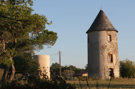 Photographie des moulins-tours de Péronne (Chanteloup-les-Bois).
