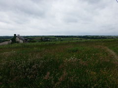 Le vignoble de Chaume. Plus de photos…