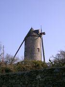 Photographie du moulin-tour de la Saulaie (Candé).