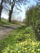Ste christine 49-photo 12.jpg