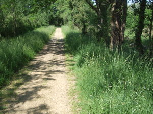 Photographie d'un paysage.