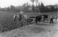 Chapellesaintlaud labours 1944.jpg