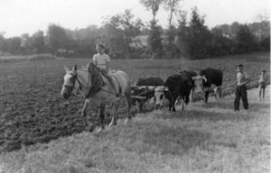 Agriculture en Anjou.