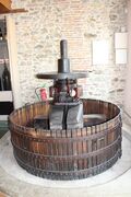 Saintlambertdulattay musee vigne 2024-0779.JPG