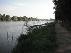 Angers promenade de la reculee 2013-4.jpg