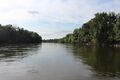 Loire chalonnes montjean 2024-0669.JPG