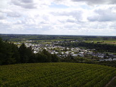 Saintaubindeluigne vue du moulin guerin-2008a.jpg