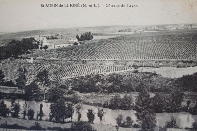 Fichier:Saintlambertdulattay musee vigne 2024-0784.JPG