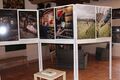 Saintlambertdulattay musee vigne 2024-0795.JPG