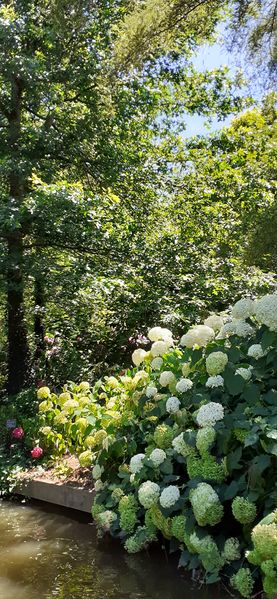Fichier:Terrabotanica 2020 130800.jpg