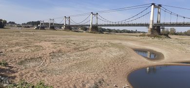 Loire montjean 2022 5133.jpg