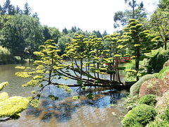 Parc oriental