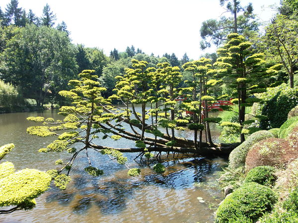 Photographie Parc oriental de Maulévrier.