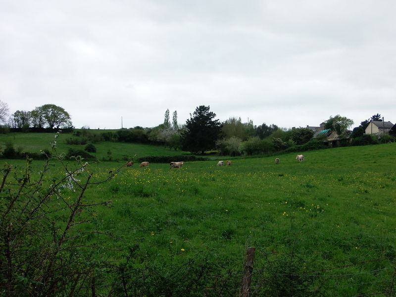 Fichier:Pommeraye ferme-2014a.jpg