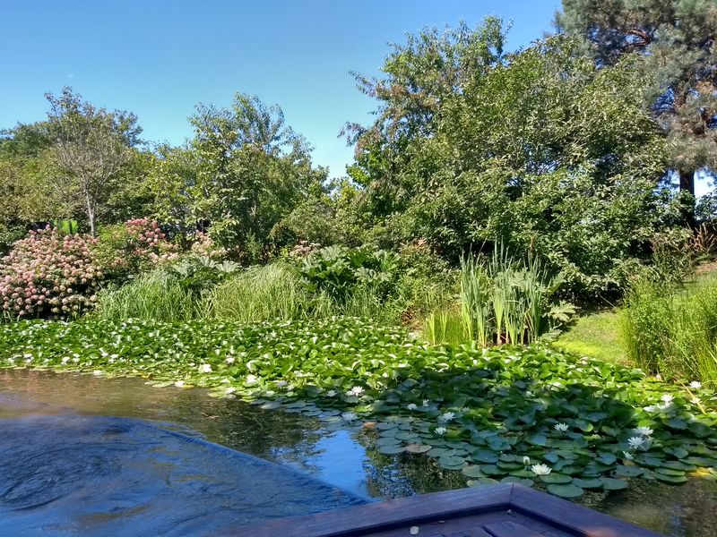 Fichier:Terrabotanica 2020 130035215.jpg