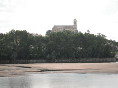 Photographie de l'église de Montjean-sur-Loire