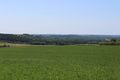 Rochefort sur loire 2021-9412.JPG
