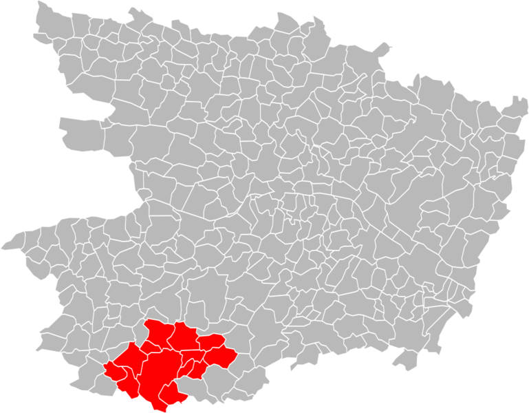 Fichier:Choletais comagglo 2013.svg