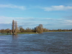 Loire ingrandes 2013-2.jpg