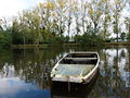 Oudon liondangers 2013-2.jpg