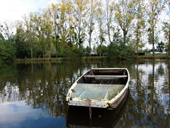 Oudon liondangers 2013-2.jpg