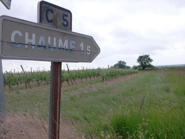 Photographie Rochefort sur Loire - Chaume.