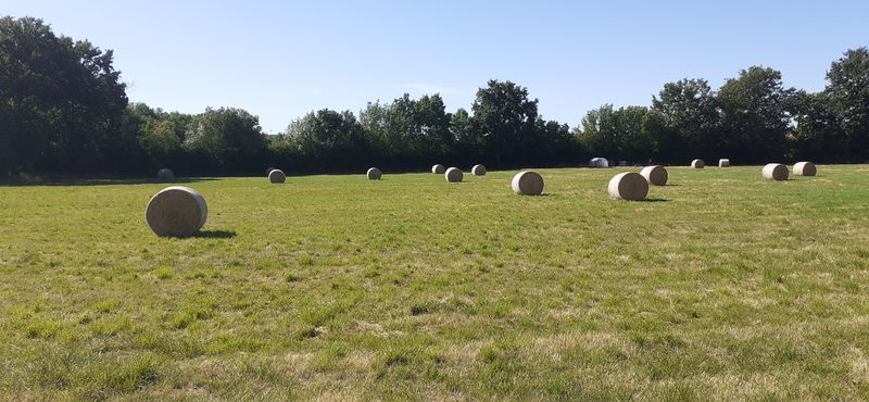 Fichier:Vallee loire panzou r20-10.jpg