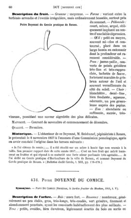 Page 60.
