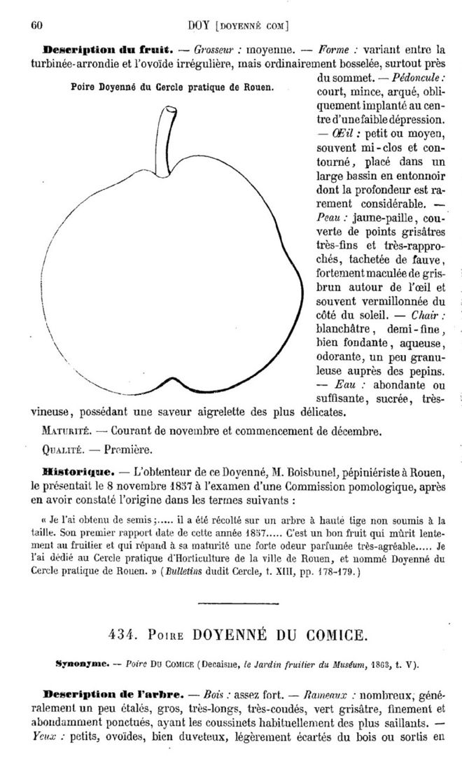Page 60 du second tome du Dictionnaire de pomologie.