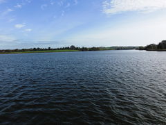 Cholet lac de ribou - 2015e.jpg
