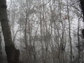 Inondations
