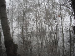 La Maine en crue à La Pointe
