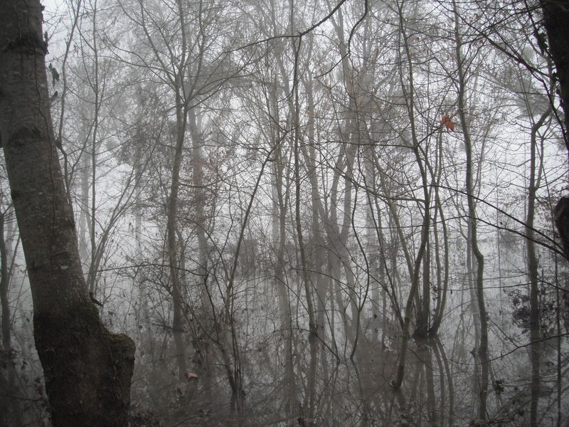 Fichier:Bouchemaine lapointe inondations 2013 2.jpg