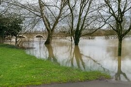 Chalonnes 20260219 03.jpg