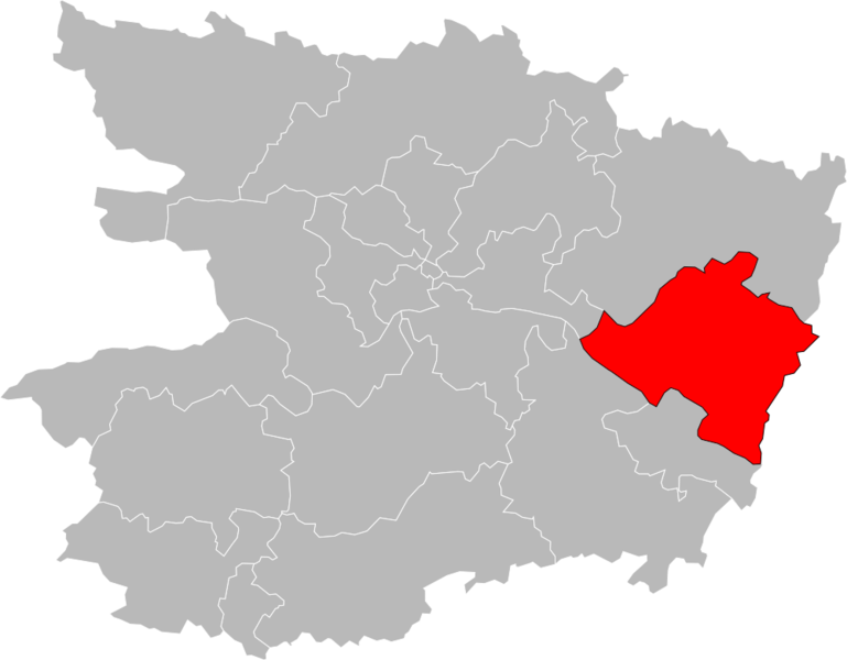 Fichier:Carte situation canton Longué-Jumelles 2015.svg