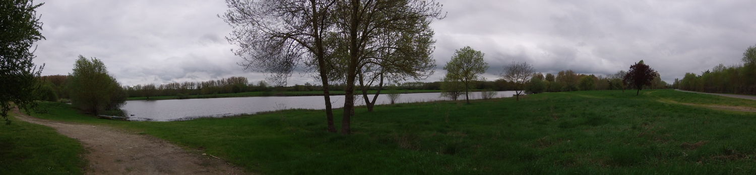Photographie d'un panorama