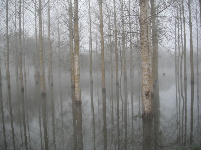 Fichier:Rochefortsurloire plan d eau innondations-2013a.jpg