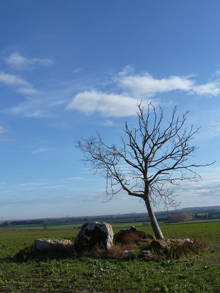Fichier:Antoigne dolmen griffier 2011a.jpg