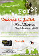 Affiche mouliherne sortie foret 2016.jpg