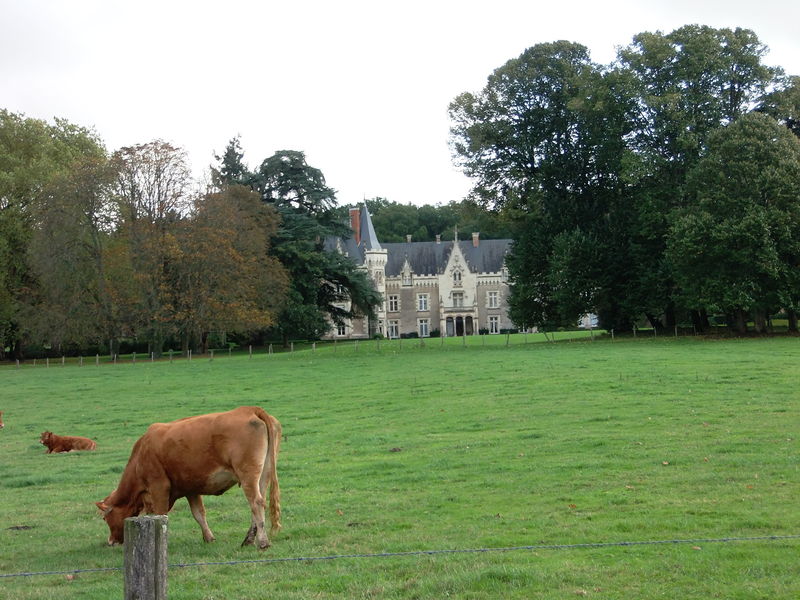 Fichier:Chenillechange chateau des rues 2013-1.jpg