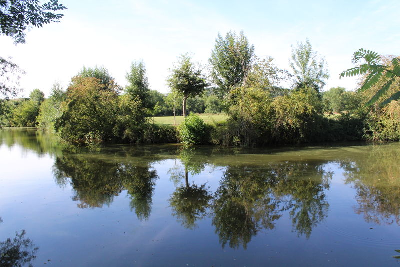 Fichier:Layon saintaubindeluigne - 2017 2370.jpg