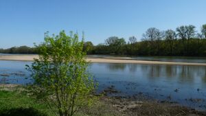 Photographie de la Loire à Sainte-Gemmes-sur-Loire.