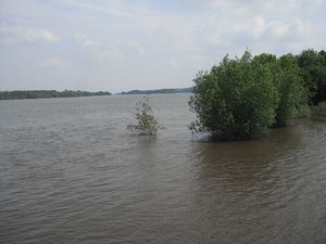 Photographie de la Loire.