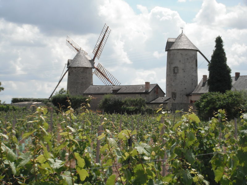 Fichier:Chaudefondssurlayon ardenay moulin 2012b.jpg