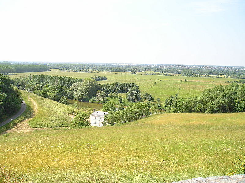 Fichier:Corniche angevine Plaine de la Grand Pree.JPG
